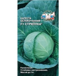 Капуста Стряпуха F1 (СеДеК) 0,3г