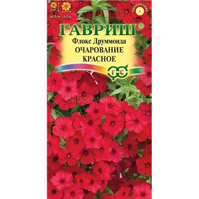 Флокс Очарование красное (Гавр)