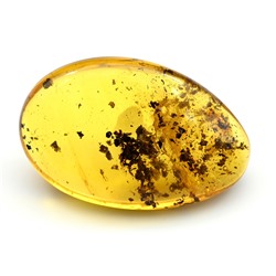Янтарь с инклюзами 20*30мм цв.медовый, 3,06г