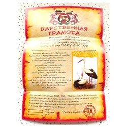 Дарственная Грамота 14 На Любовь в Семье SH 903054