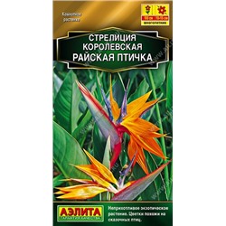 Стрелиция Райская птичка (Код: 91036)