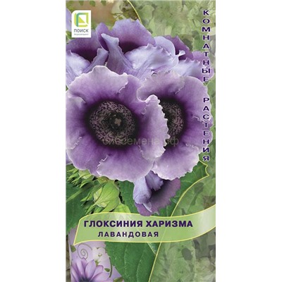 Глоксиния Харизма Лавандовая (П)
