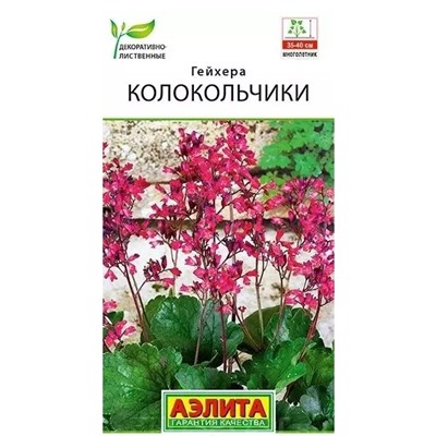 Гейхера Колокольчики Аэлита