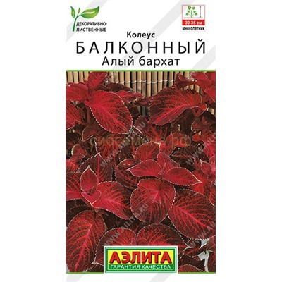 Колеус Алый бархат балконный (Аэлита)