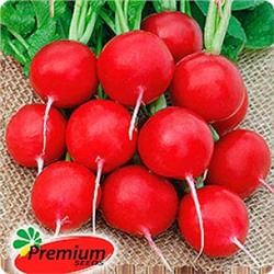 Редис Мария F1 (ПС) 1г