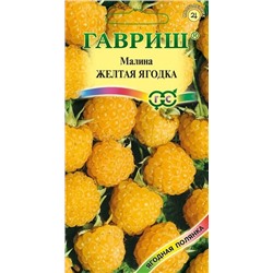 Малина Желтая ягодка (Гавр)