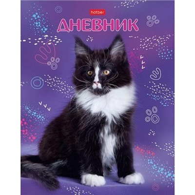 Дневник 1-11 класс (твердая обложка) "Пушистые лапки" (078840) 28413 Хатбер