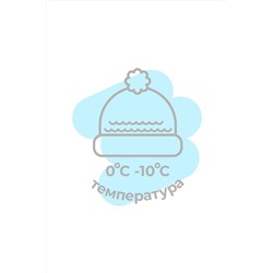 Шапка CLEVER #153614