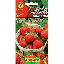 Земляника  Любаша ремонтантная крупноплодная (Аэлита)