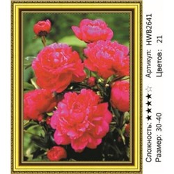 AM34 HWB2641
