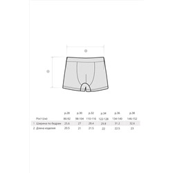Трусы BOSSA NOVA #676763