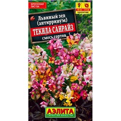 Львиный зев Текила санрайз смесь бронзоволистная (Аэлита)