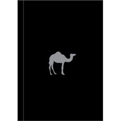 Boy's Toys (Camel Note)
