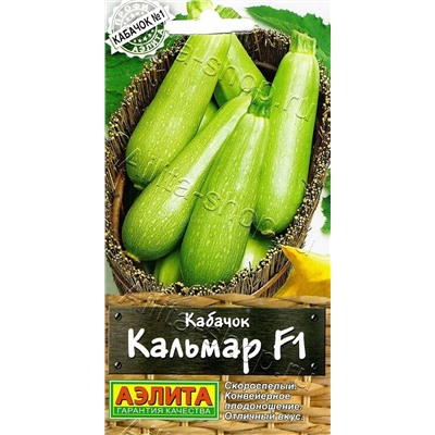 Кабачок цукини Кальмар F1 (Аэлита)