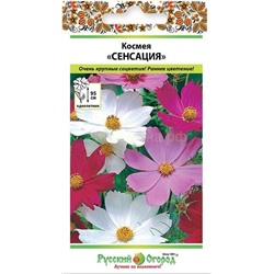 Космея Сенсация смесь (НК)
