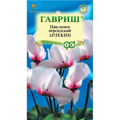 Цикламен Арлекин (Гавр)