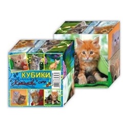 Кубики 4 кубика "Котята" №2 SH ge01349