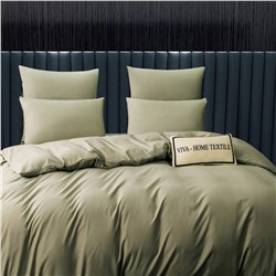 Комплект постельного белья Однотонный Сатин CS048