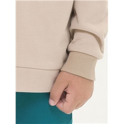 BFNS3295/1U (Толстовка для мальчика, Pelican Outlet )