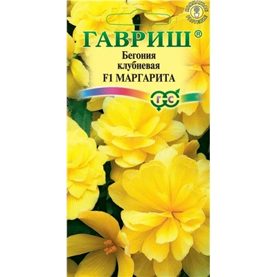 Бегония Маргарита F1 (Гавр)