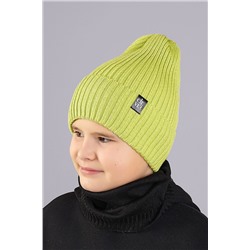 Шапка CLEVER #971283