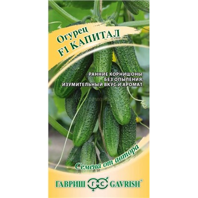 Огурец Капиталъ F1 (Гавр)