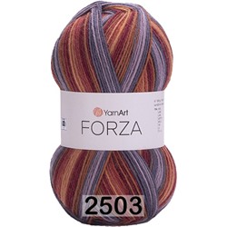 Пряжа YarnArt Forza