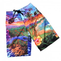 Шорты "BillaBong" (73)