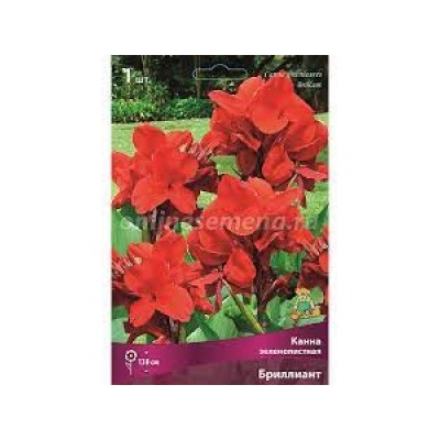 Канна Бриллиант 1шт (Поиск)