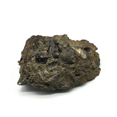 Аммонит ископаемый 50*37*19мм, 31г (T)