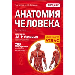 Анатомия человека: 2 издание