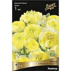 Лютик Романс Кемпер 1шт (Поиск)