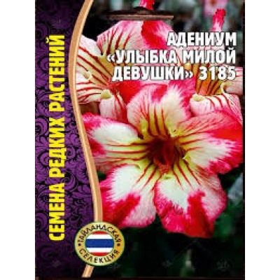 Цв.Адениум Улыбка милой девушки (Григорьев) 3шт