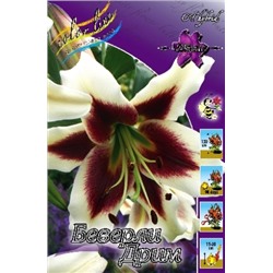 Лилии Беверли Дрим 5шт (ИС) ОТ