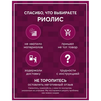 Алмазная мозаика Риолис АМ0083 Енотик, 20*20 см