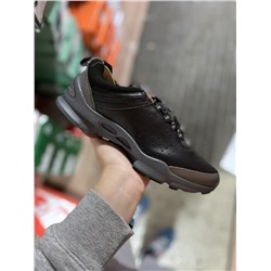 ecco colour description