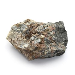 Лампрофиллит самородный 56*41*17мм, 55г (M)