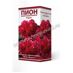 Пион Кэрол трав.1шт (Поиск)