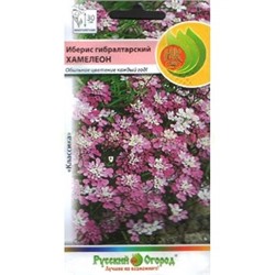 Иберис Хамелеон (НК)