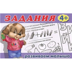 Прописи (ФЛАМИНГО)   (А5) Развив Малыша Задания   (4+)   (90х60/16)