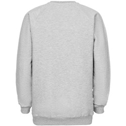 Свитшот мужской Kulonga Raeglan, серый меланж