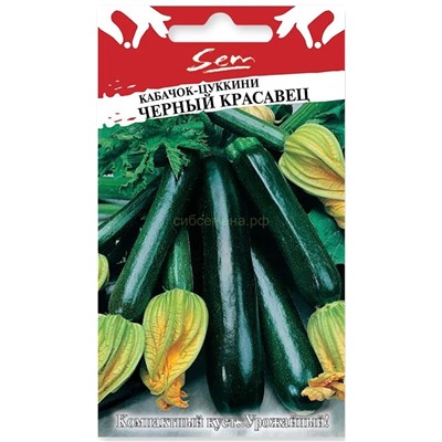 Кабачок цукини Черный красавец (НК)