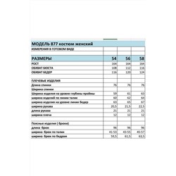 БагираАнТа 877, Брюки,  Блуза
