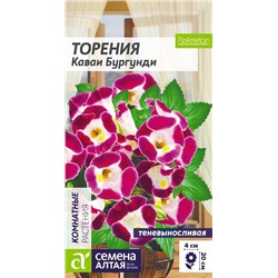 Торения Каваи Бургунди комнатная