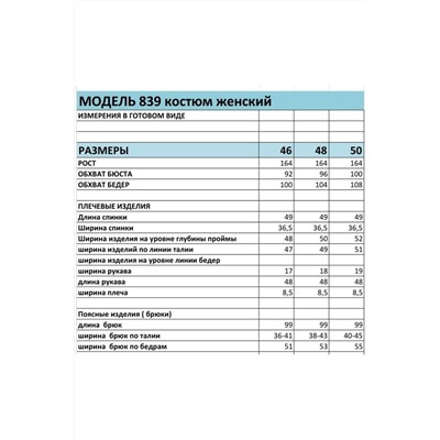 БагираАнТа 839, Брюки,  Блуза