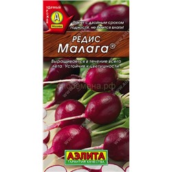 Редис Малага фиолетовый (Аэлита)