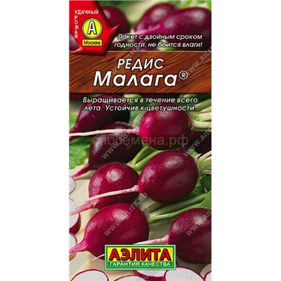 Редис Малага фиолетовый (Аэлита)