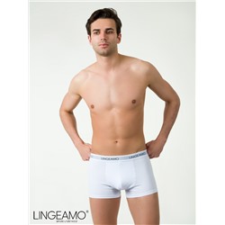 Трусы мужские боксеры Lingeamo ЛБ-03 (1)