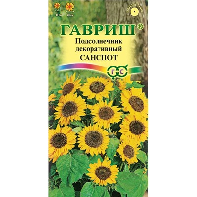 Подсолнечник Санспот карликовый декоративный (Гавр)