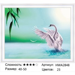 AM45 HWA2848, 40х50 см